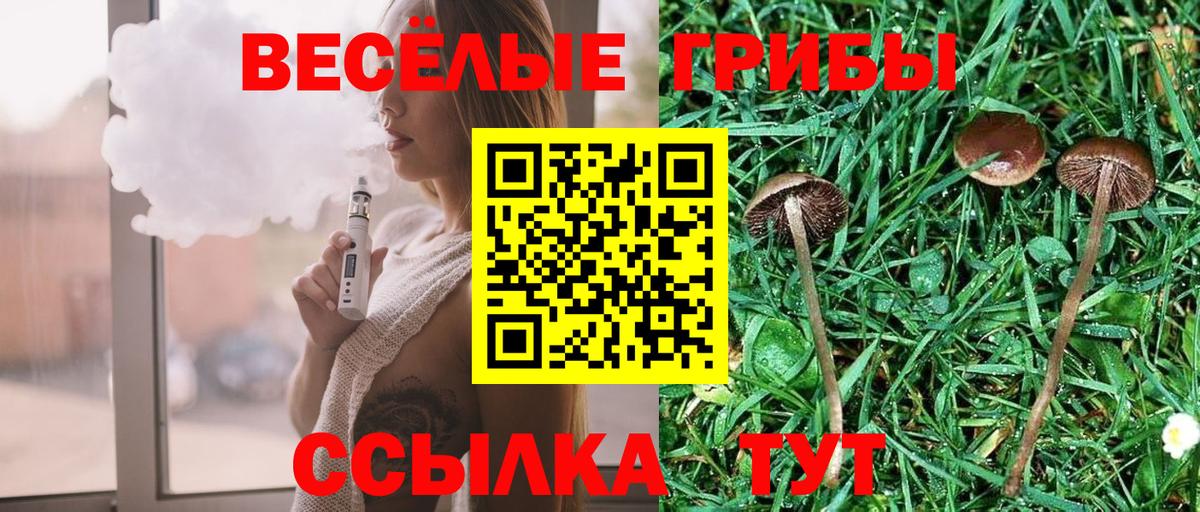 Псилоцибиновые грибы ЛСД  Вход с VPN  хочу наркоту  Киселёвск 