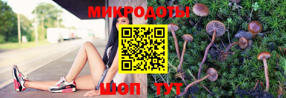 Псилоцибиновые грибы прущие грибы Киселёвск